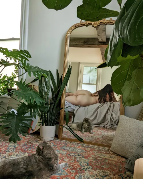 My favourite photo enhancer 😸