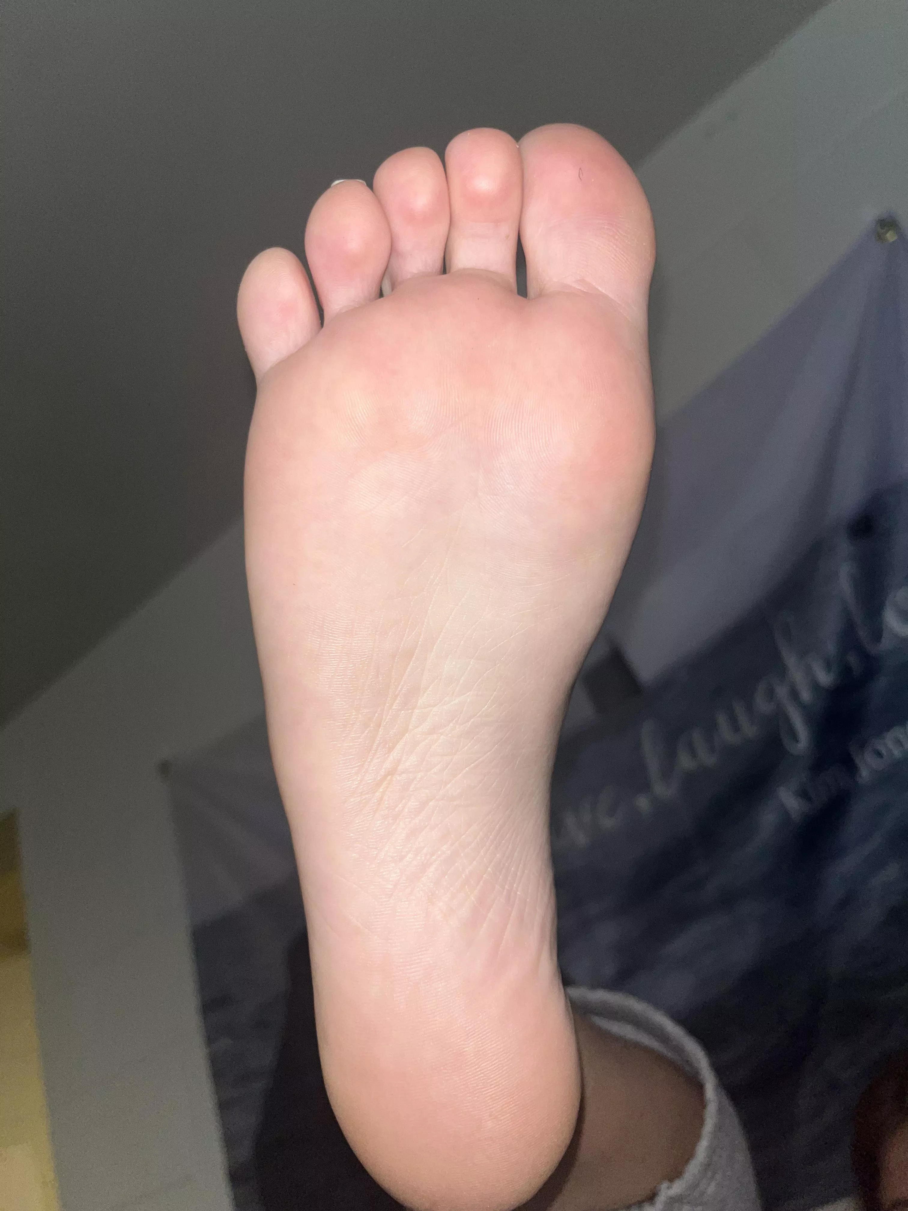 |oc| lick them top to bottom