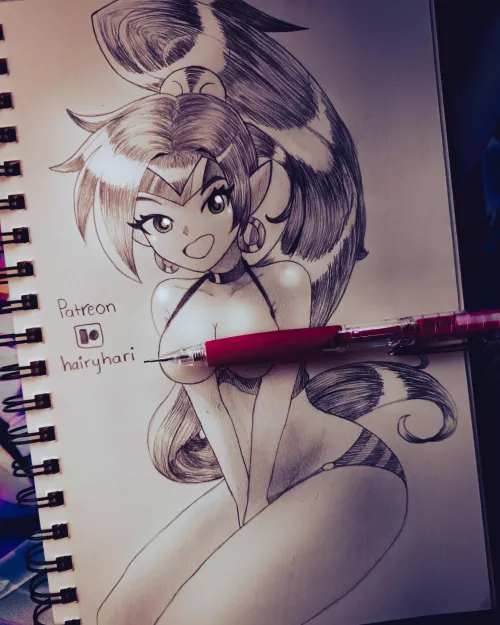 Our favorite half-genie gal Shantae