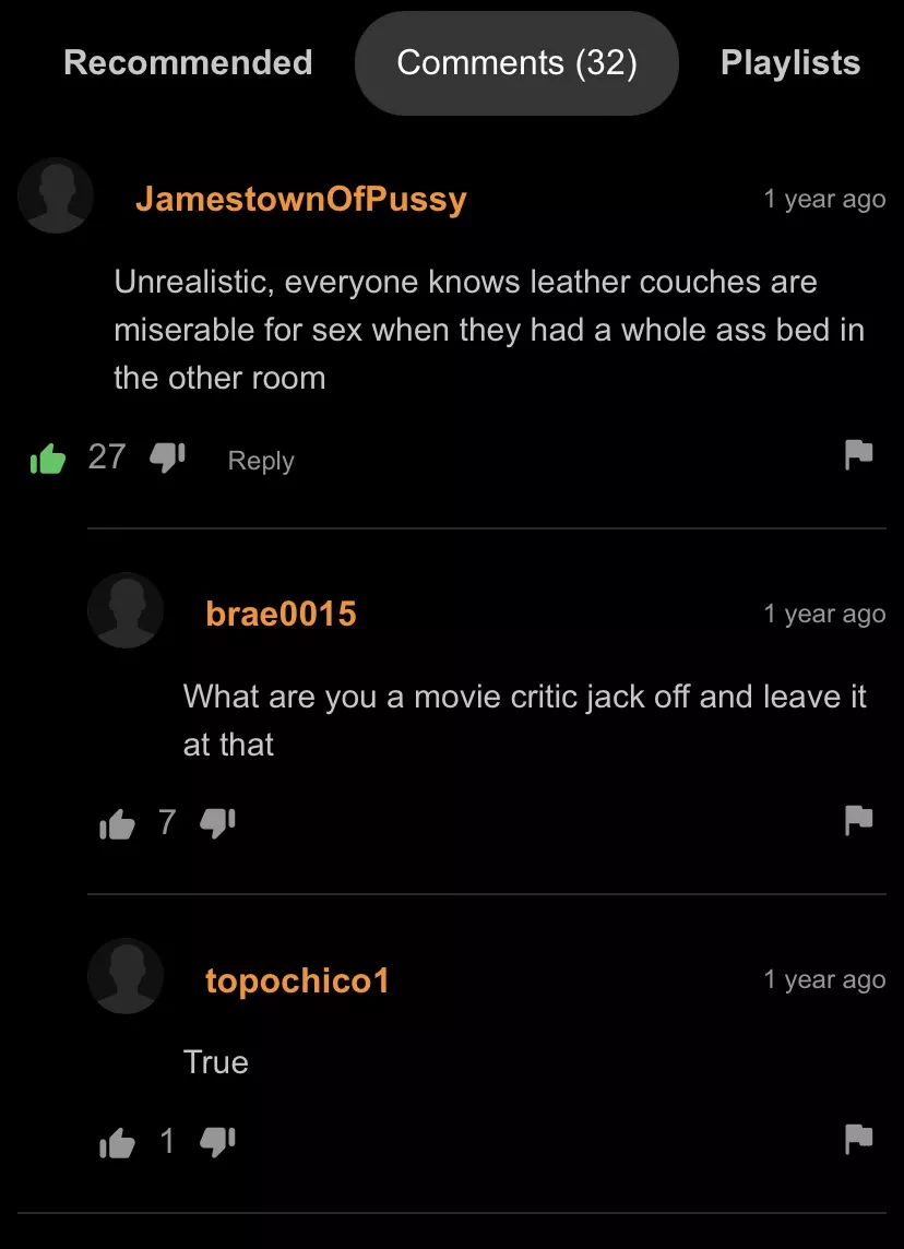Pro porn critic