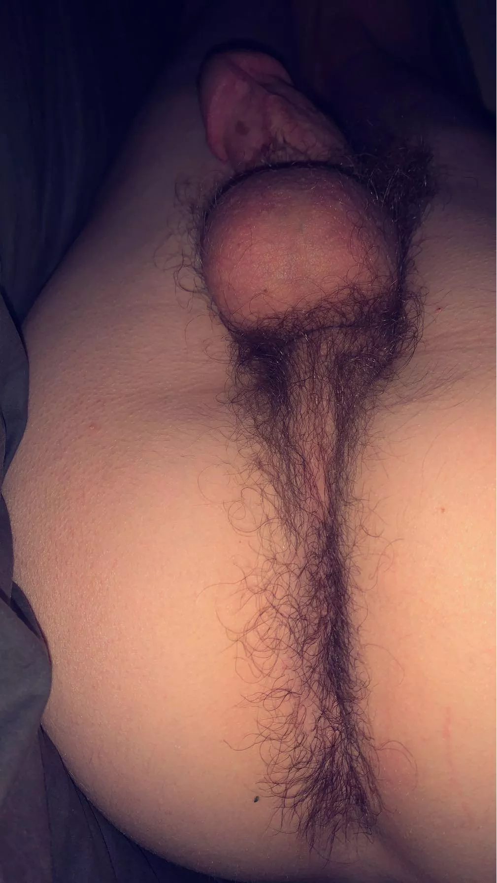 Still waiting for a fuzzy bear to come cuddle me 🥰🥺