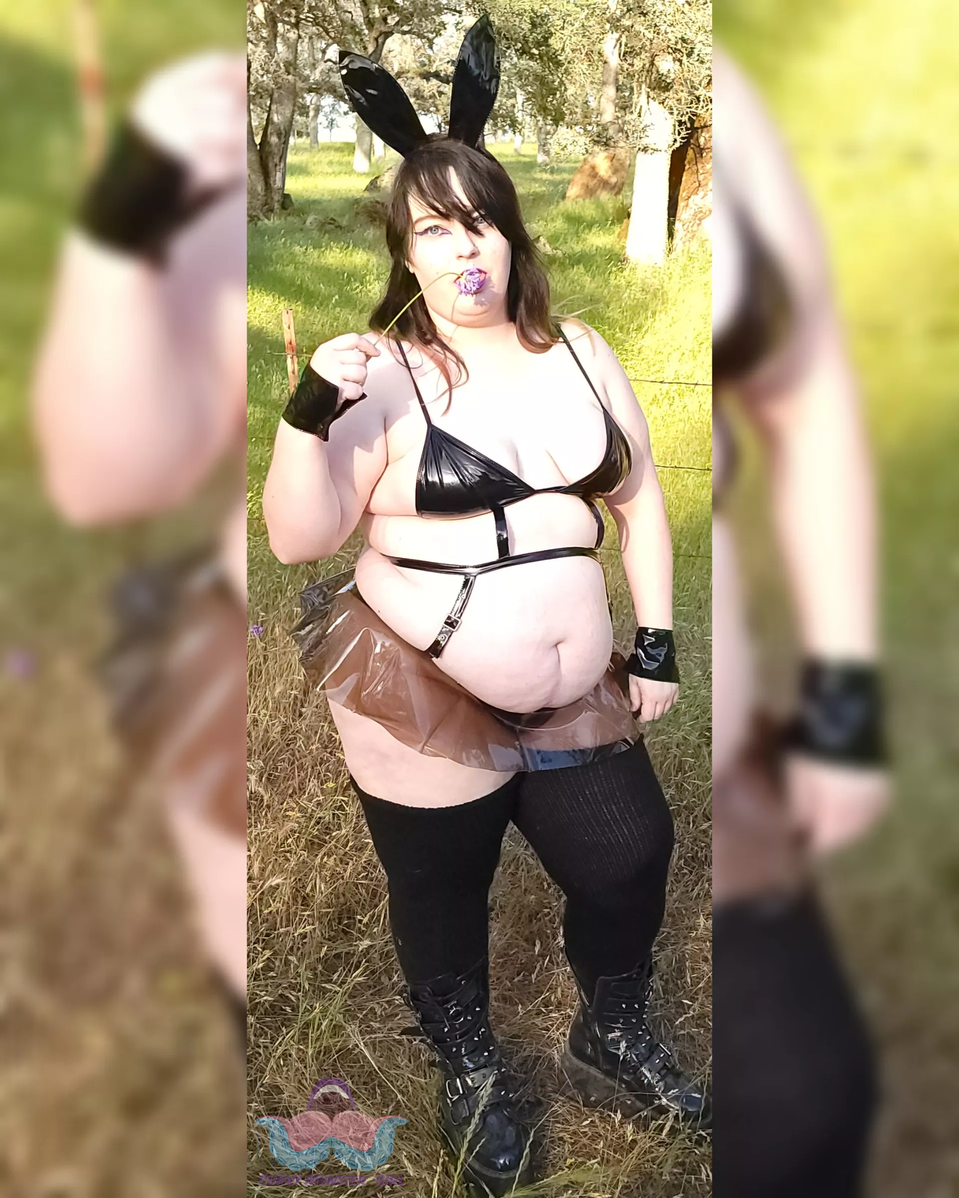 This curvy bunny is ready for breeding season