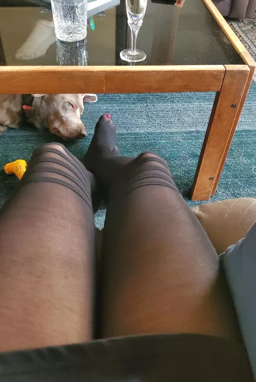 This dog knows that the best spot is at my feet :)