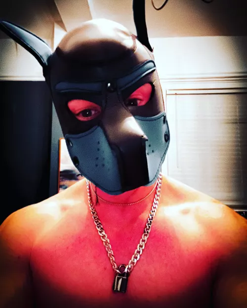 Who is going to earn the key to this chain? #pupplay #pupcommunity #alphapup #gaypup