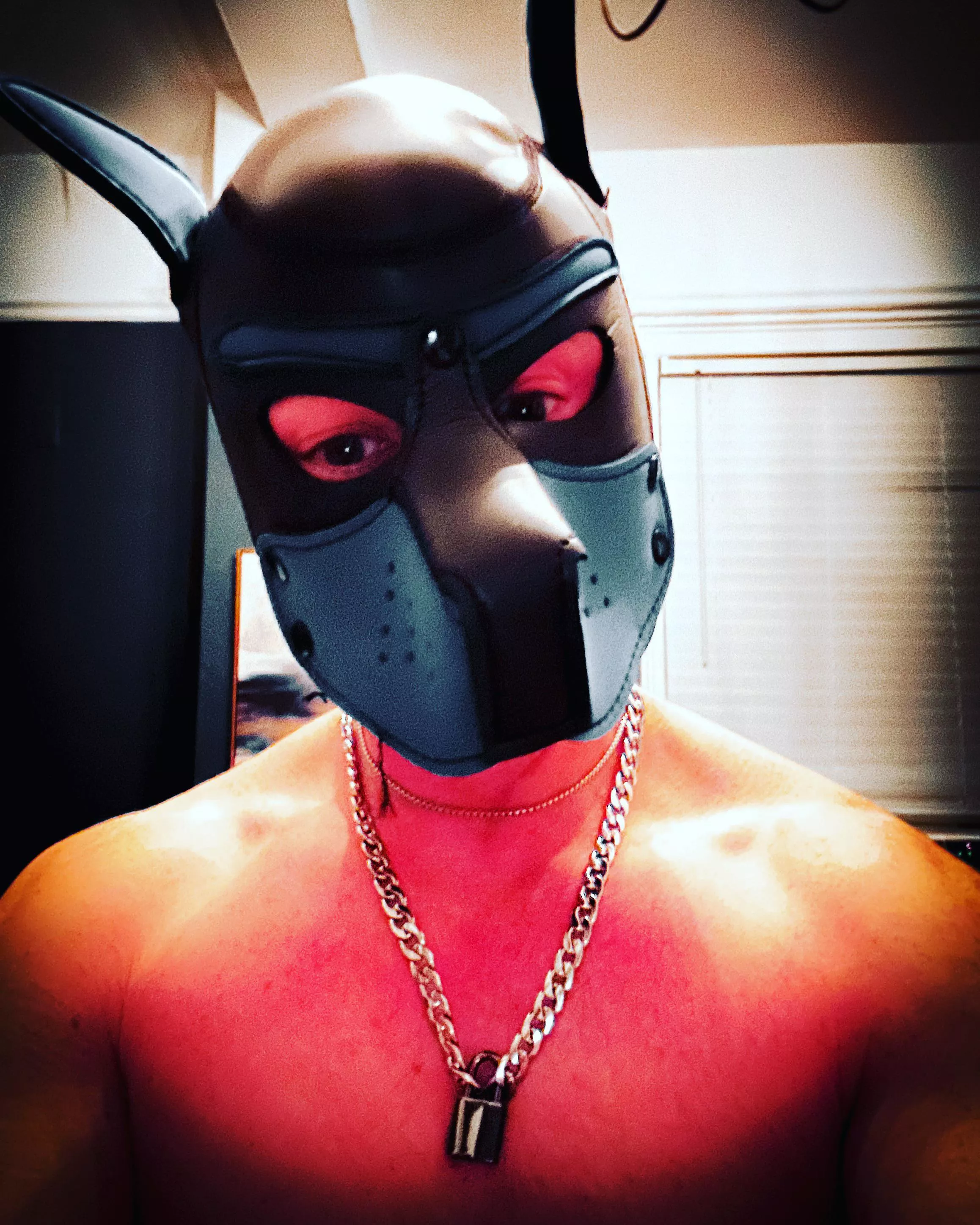 Who is going to earn the key to this chain? #pupplay #pupcommunity #alphapup #gaypup