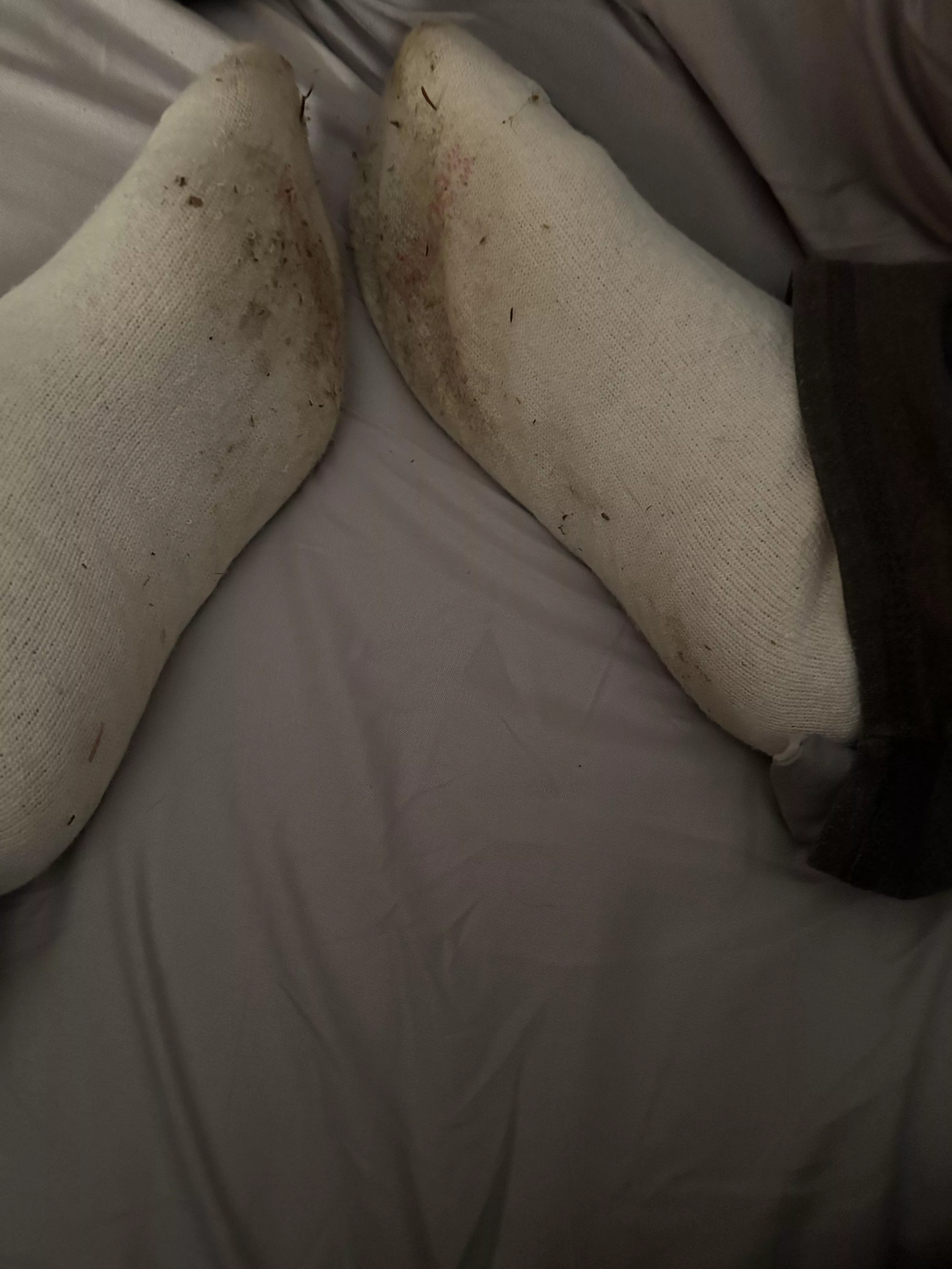 Who wants these delicious dirty socks