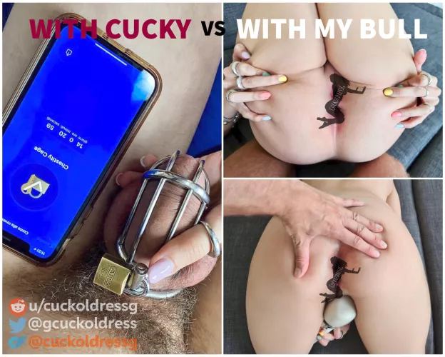 With cucky vs with my bull. See the difference? 🤣🔐🤘
