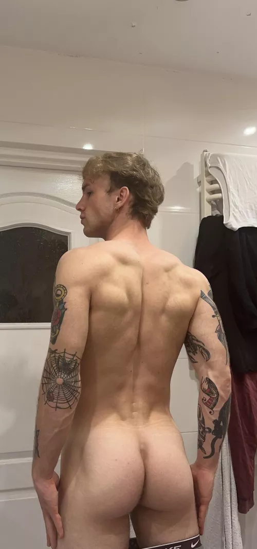 Alpha looking for a prey