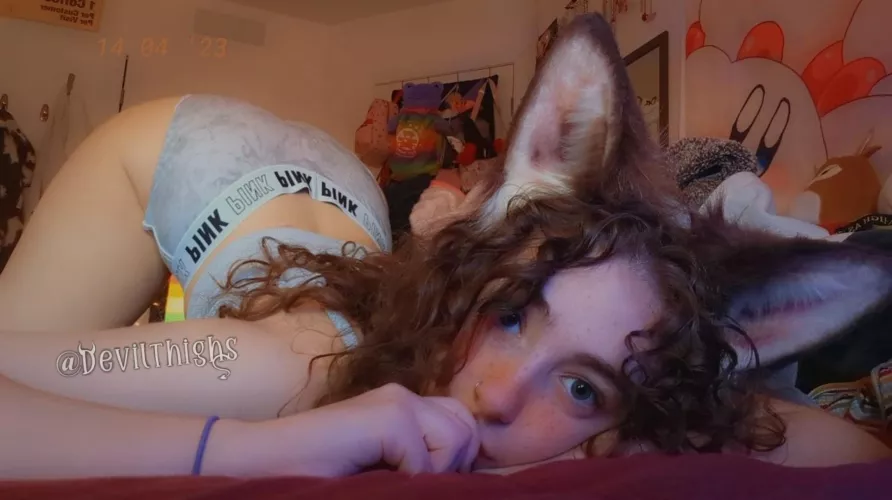 Arf arf puppy brain 🐶