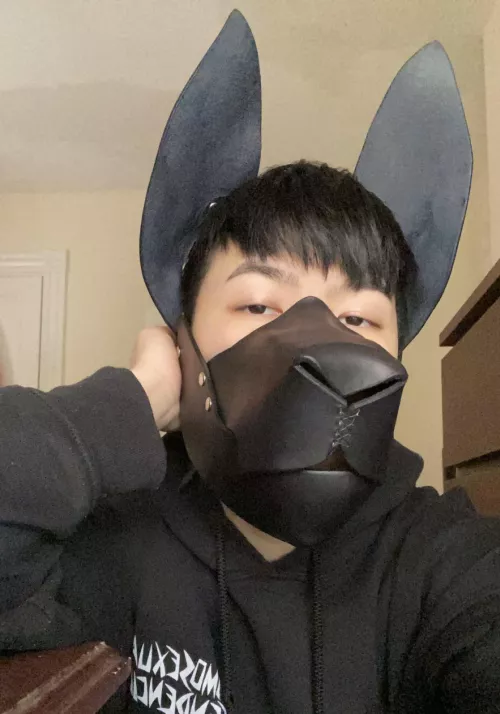 Baby’s first pup gear~