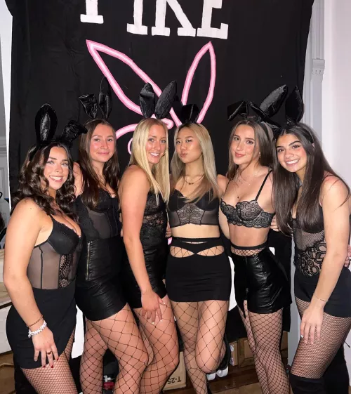 Bad Bunnies