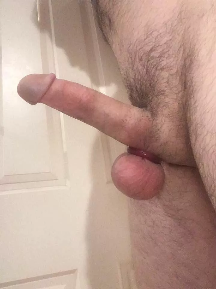 Cock ring