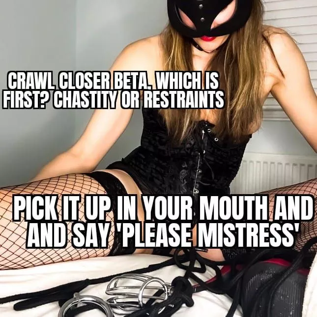 Crawl closer doggy, good boi's get both.