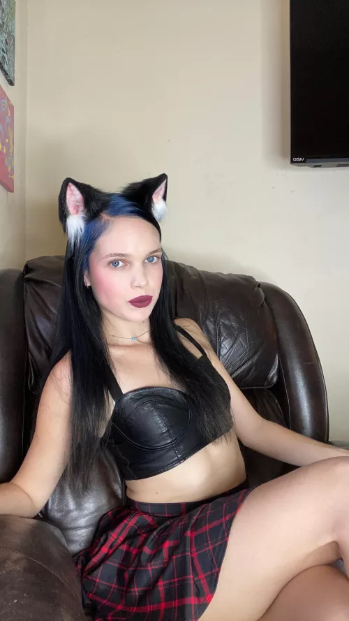 [f] happy Wednesday from a sweet lil kitten !!