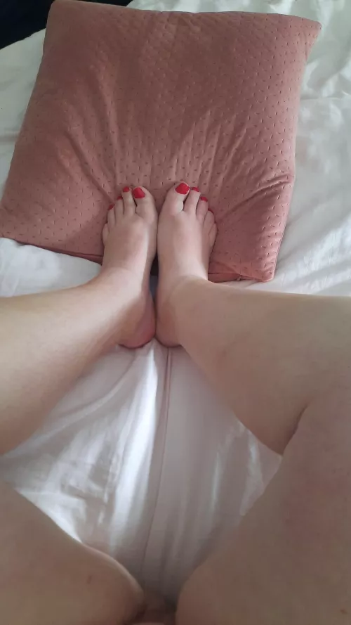 Freshly painted- it wasn't an easy job! Next time I need a helper!