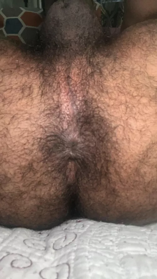 Get in there and worship my morning musky hole 🐽👅