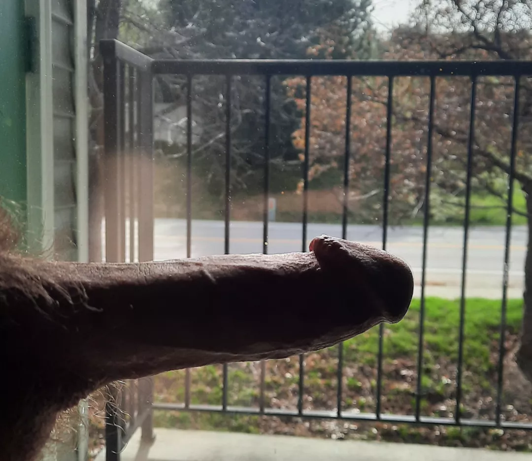 Had a few people stop to admire it which was surprising 🙃 22M