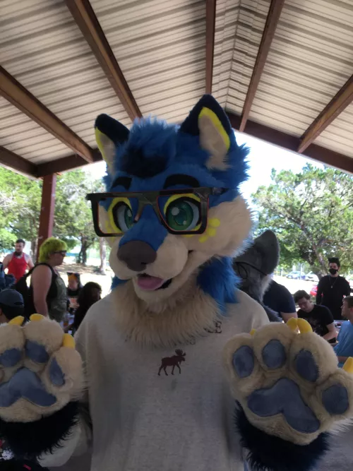 I am now a smart foxxo 😌