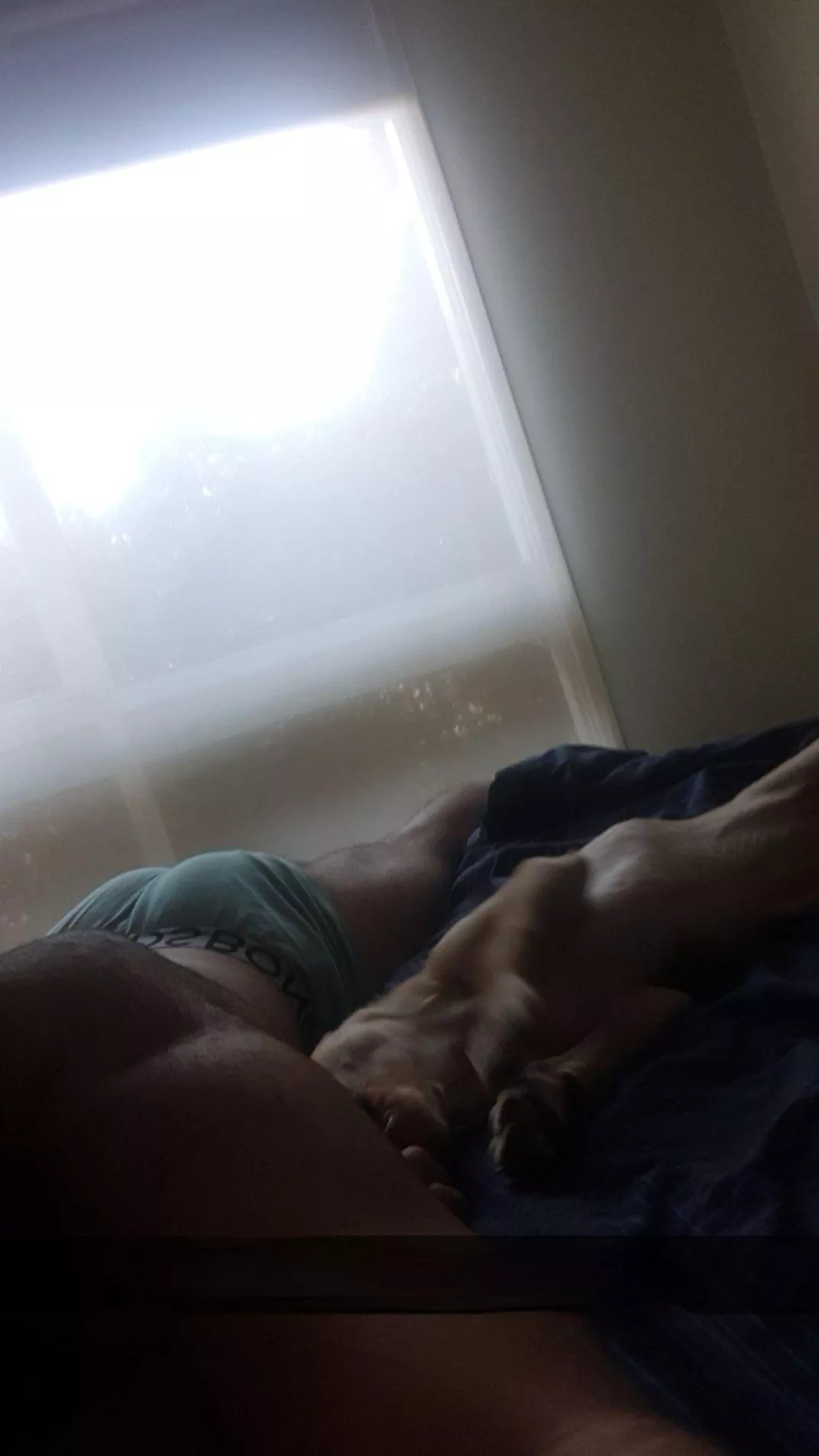 Is it cheating to include puppies in your nudes? [M]