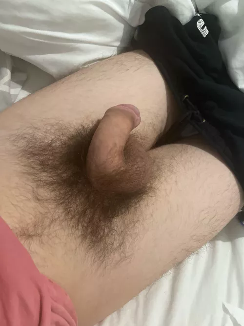 Kinda cute when it’s soft