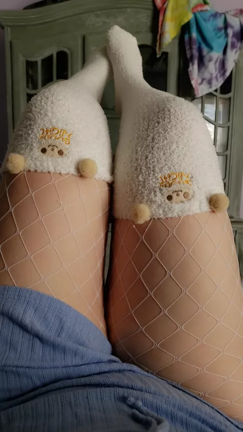 My favorite teddy bear socks