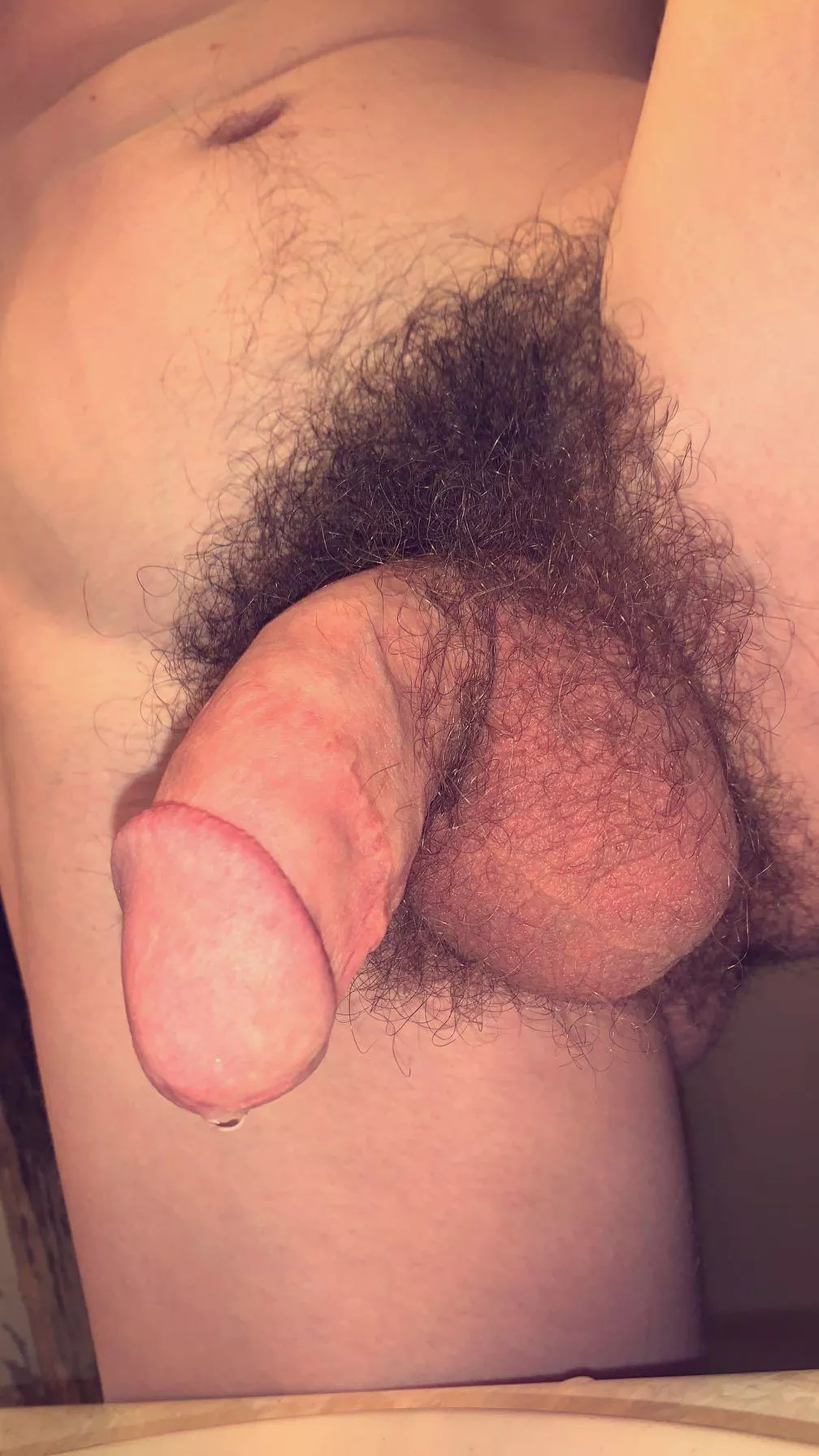 Need a fuzzy bear to share my bush with 🥺🥰