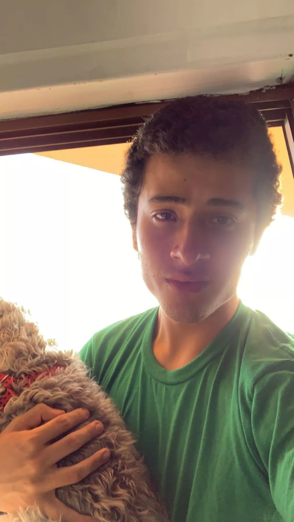 sunny days are good ngl w doggie x