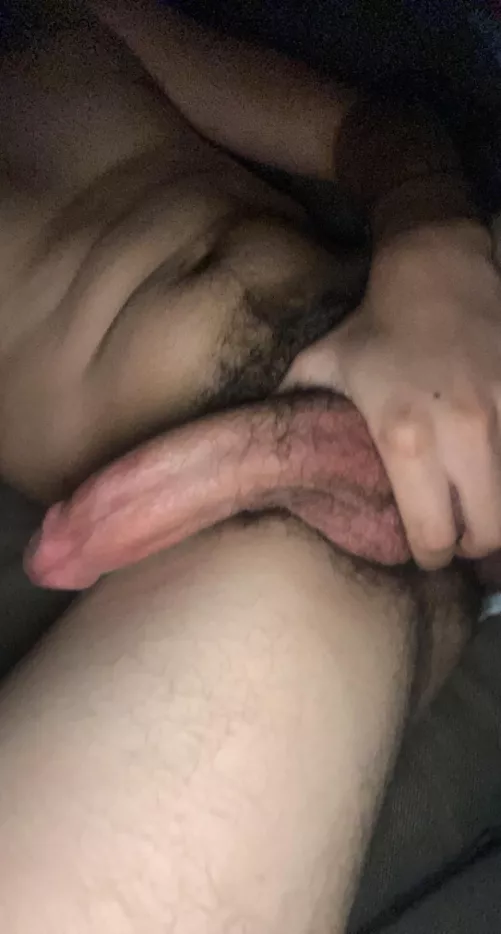 Use my cock bro