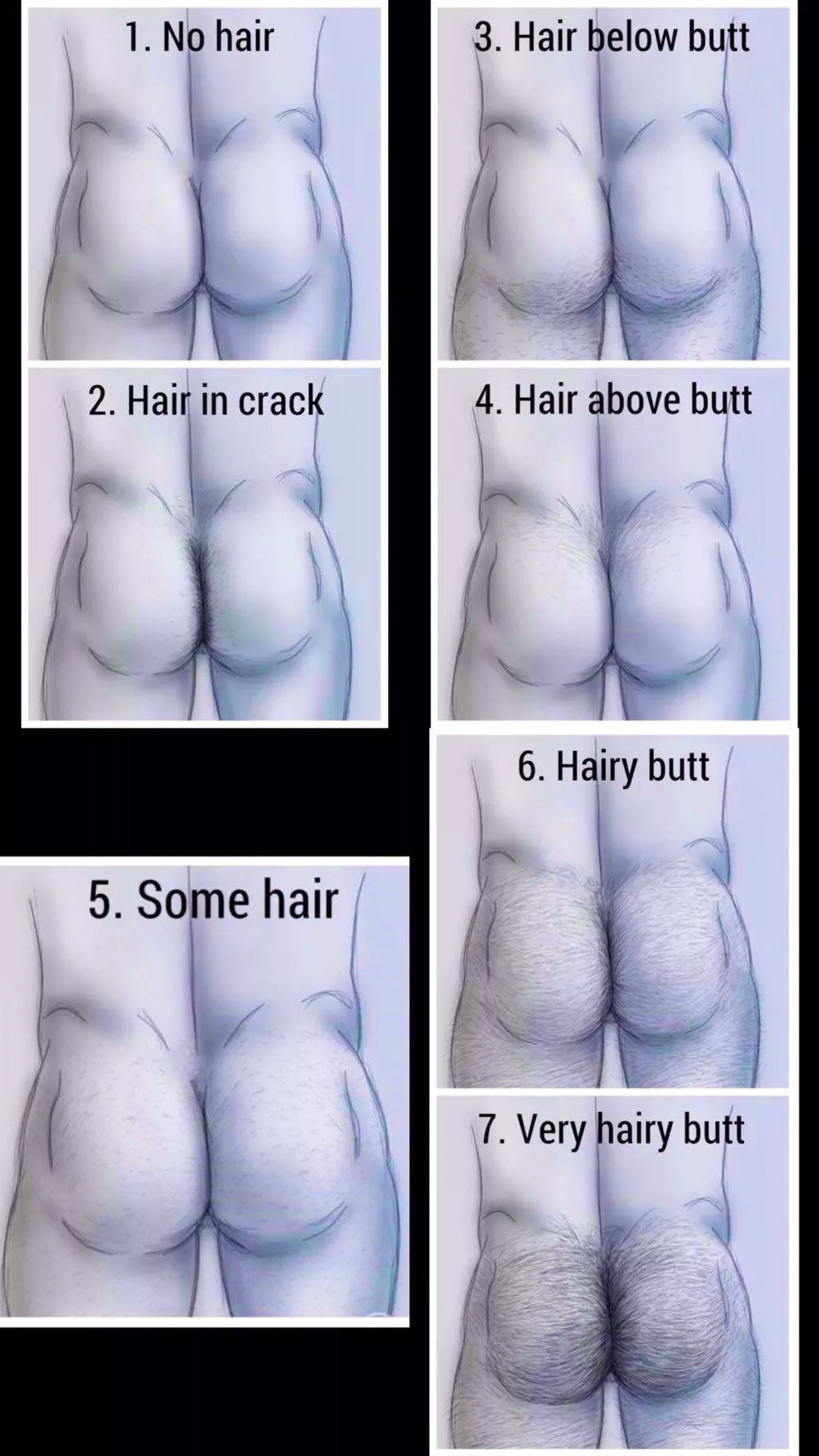 Where do you belong?