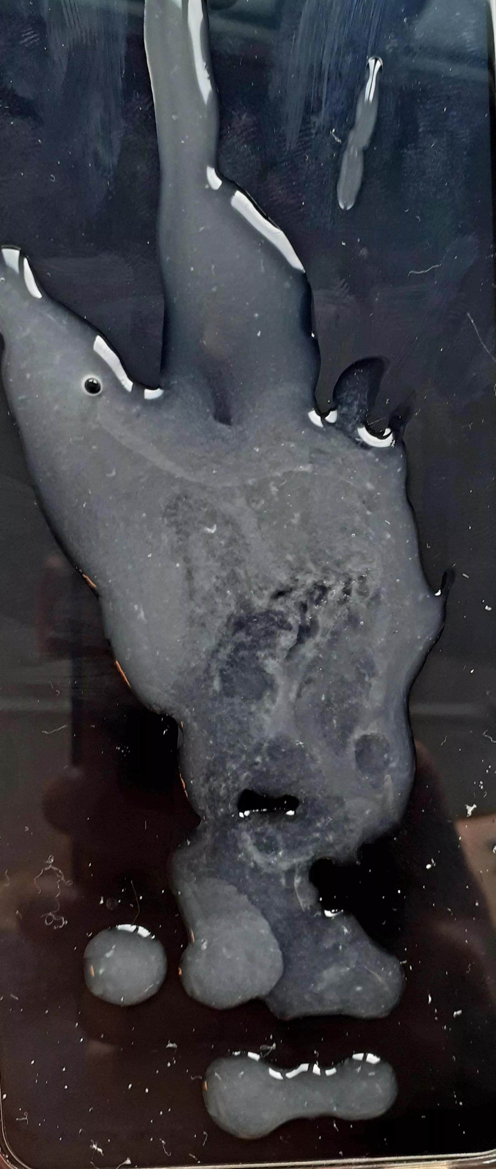 Who want to taste it ?