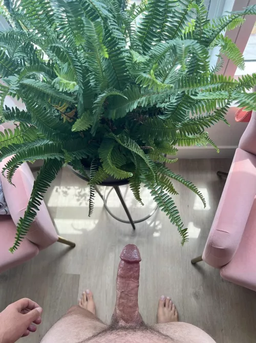 Who wants a load? (34)