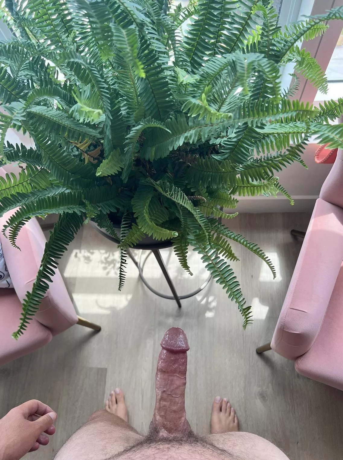 Who wants a load? (34)