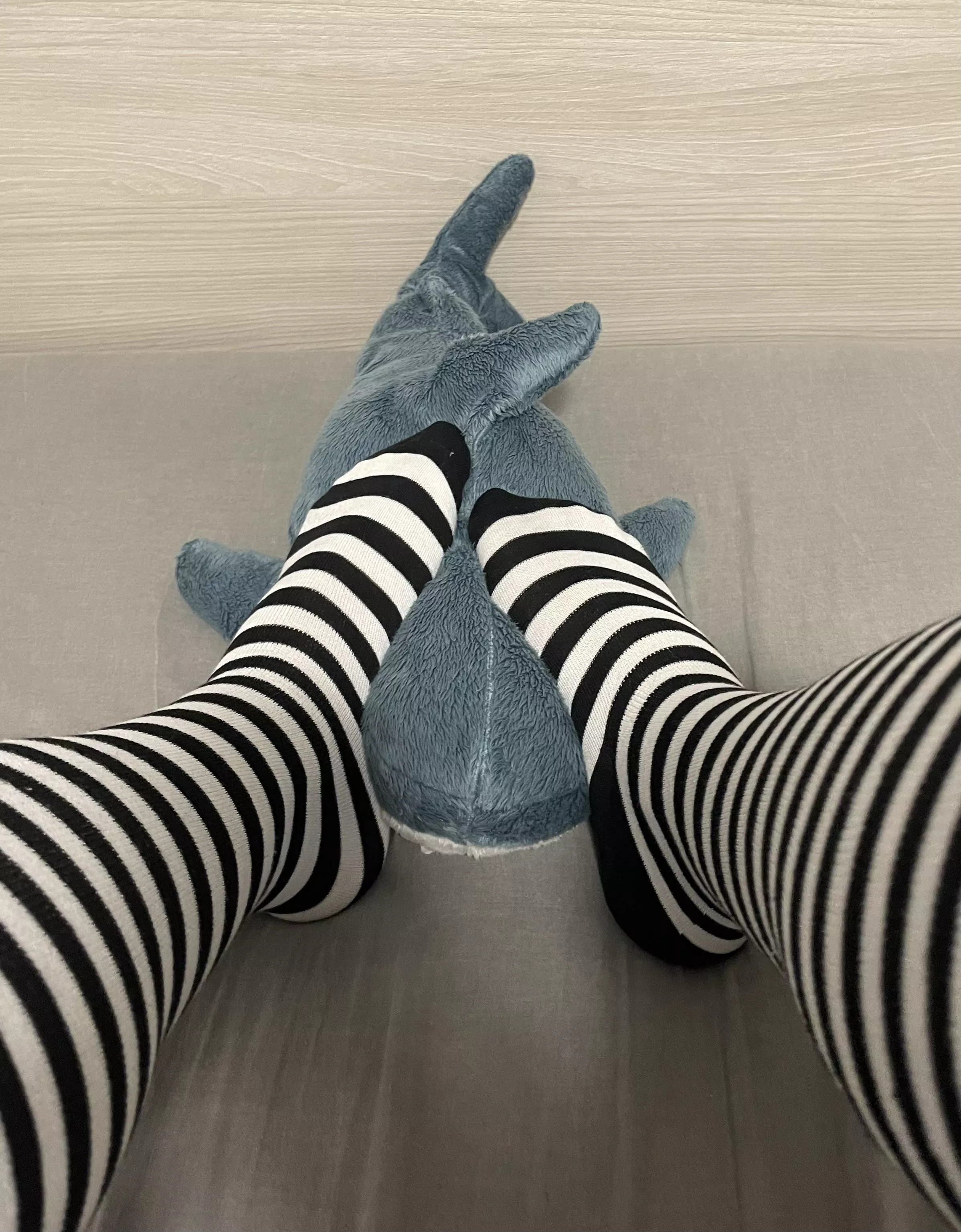 Who would like to be in the shark’s place?