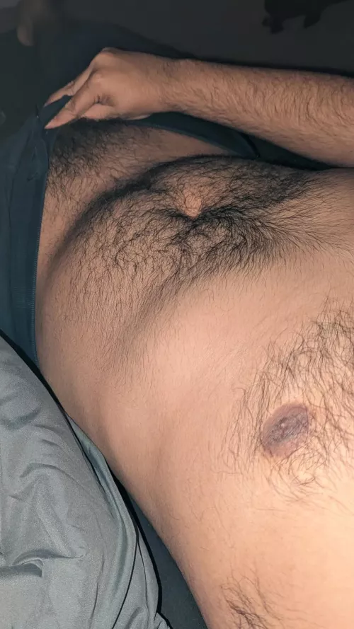 [29] Curious looking for similar Bros