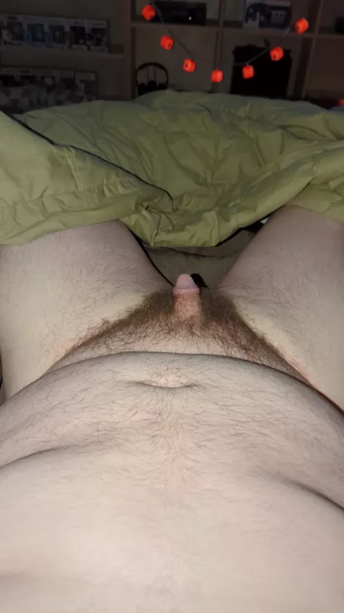 32 M looking for some late night excitement