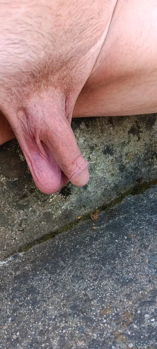 [60] Finally warm enough to sit outside naked, come join me