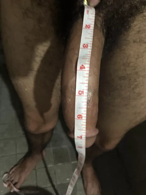 8 inches lenght👍🏽