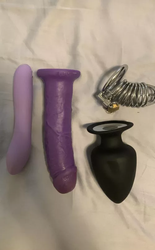 chastity or butt plug?