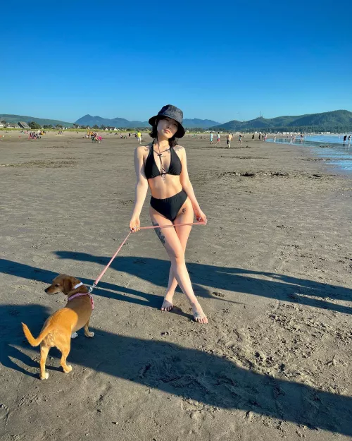 dog at beach
