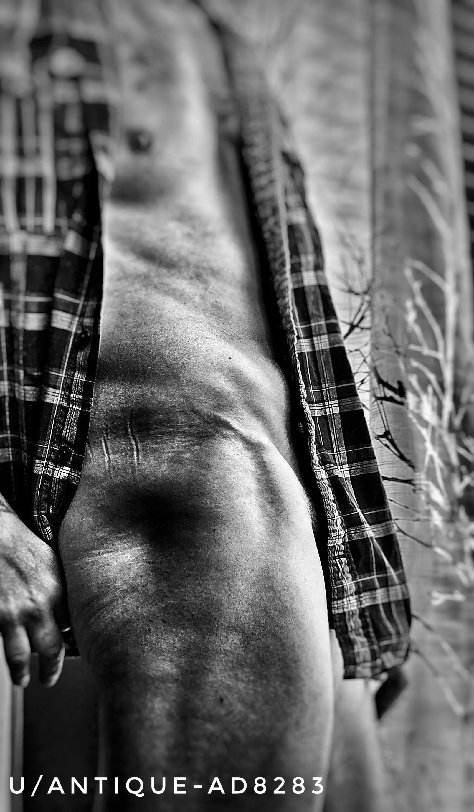 Flannel Friday, ftw.