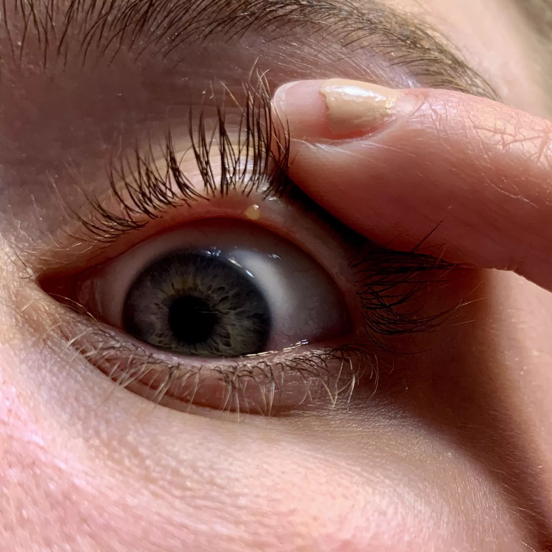 Forbidden pop on the waterline of my eyelid