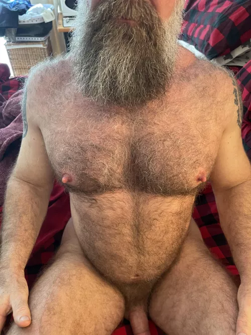 Hairy Daddy