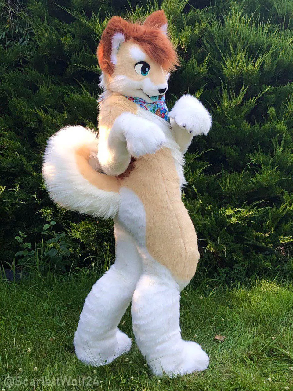 Happy Fursuit Friday! 🐾🐾 (@ScarlettWolf24)