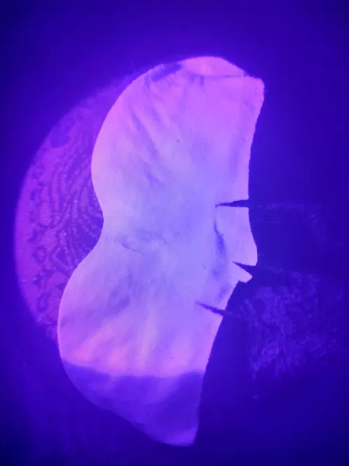 Have you ever taken a black light to a nose strip after you used it?