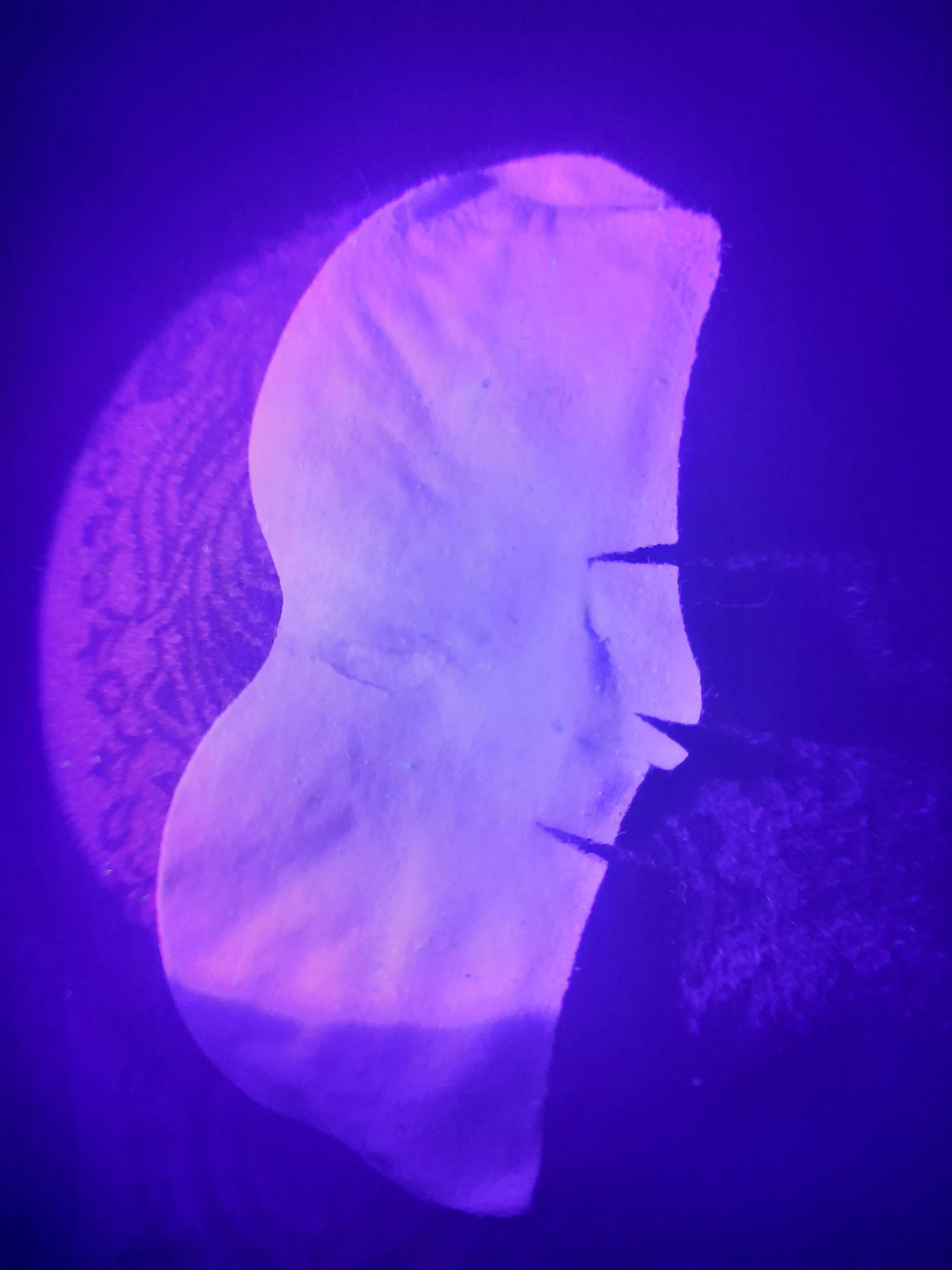 Have you ever taken a black light to a nose strip after you used it?