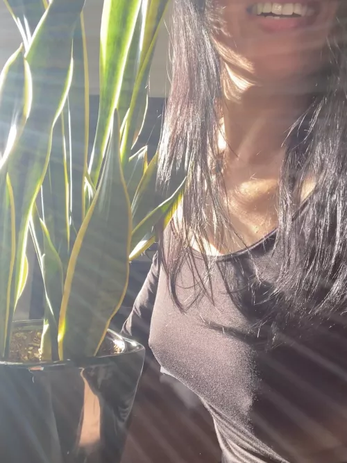 Houseplant, sunstripe, & braless…my trifecta