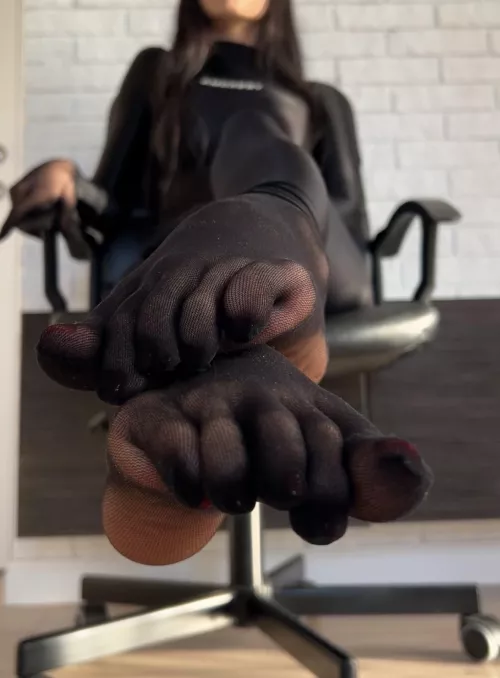 I would put you in an aviary for dogs and make you lick my sweaty nylon feet