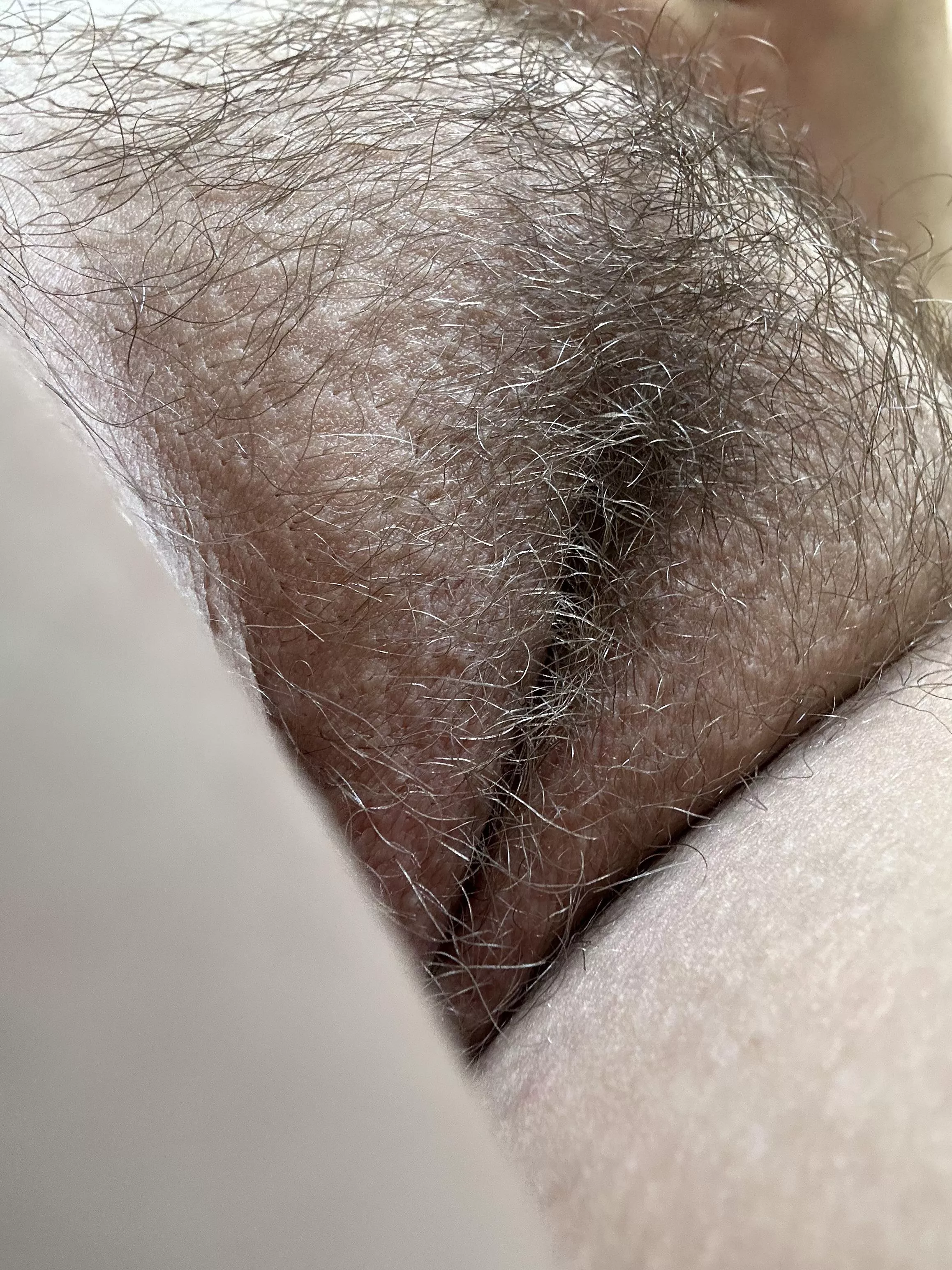 I’ve been growing my bush for a few months now