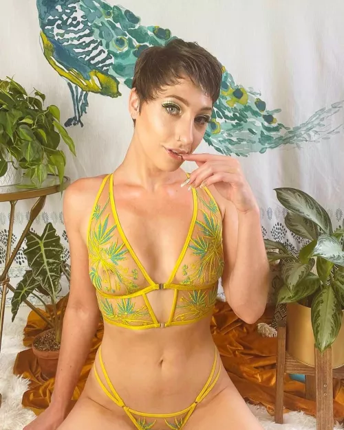 plant pixie 🧚🏼🪴✨