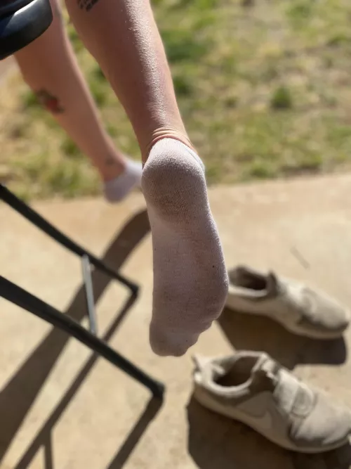 these yummy socks need a new home